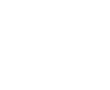 車
